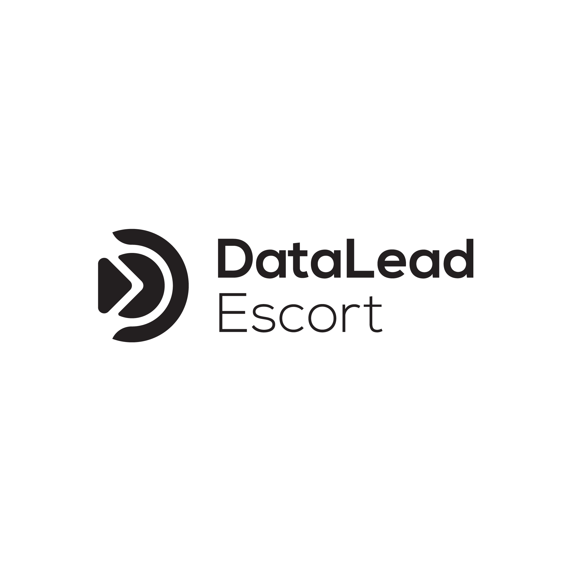 DataLeadEscort Logo